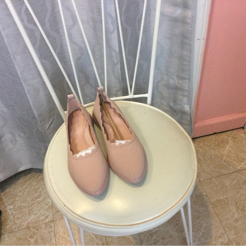 Rose Shoes 🌹